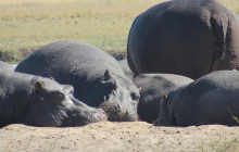 Moonlight Safaris and Tours7