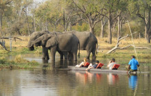 Moonlight Safaris and Tours11