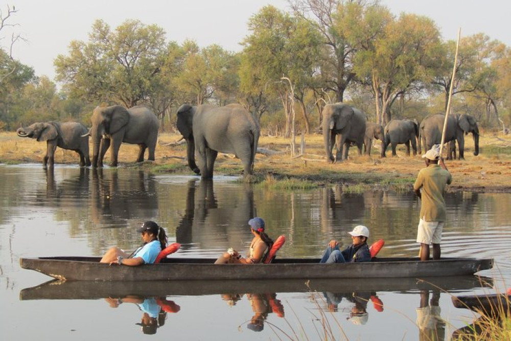6-Day: Chobe and Okavango Camping Safari