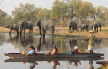 Moonlight Safaris and Tours1