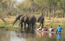 Moonlight Safaris and Tours12