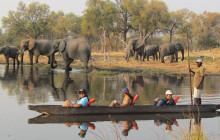 Moonlight Safaris and Tours13