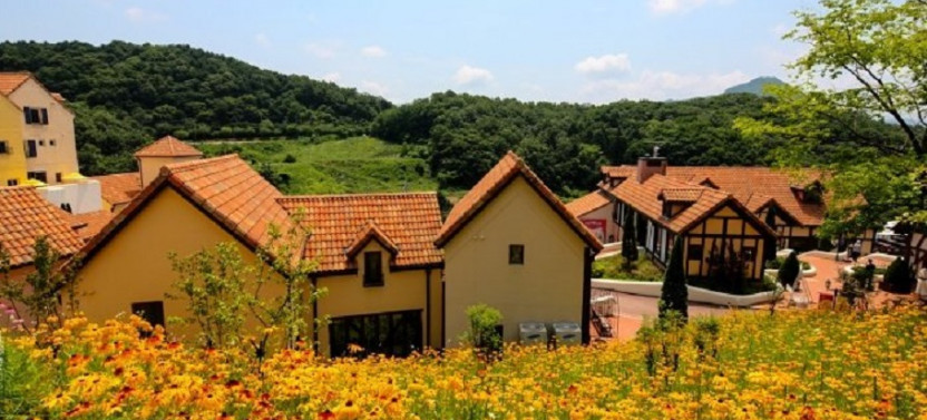 Nami Island + Petite France + Rail Bike Riding