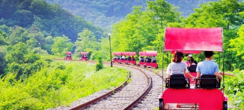 Nami Island + Petite France + Rail Bike Riding