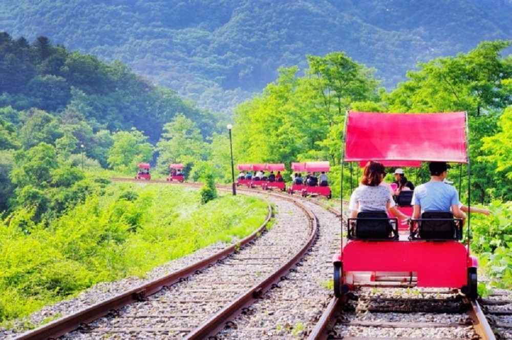 Nami Island + Petite France + Rail Bike Riding Seoul Project Expedition