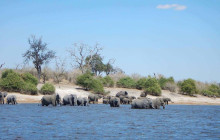 Moonlight Safaris and Tours3