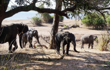 Moonlight Safaris and Tours4