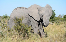 Moonlight Safaris and Tours9