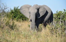 Moonlight Safaris and Tours10