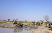 Moonlight Safaris and Tours12