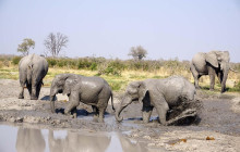 Moonlight Safaris and Tours1