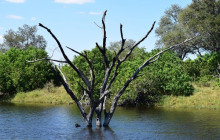 Moonlight Safaris and Tours18