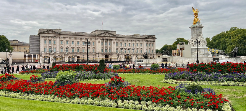 Small Group Buckingham Palace Visit & Changing of the Guard