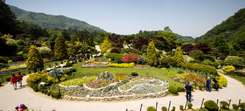 Garden of Morning calm + Nami Island + Petite France