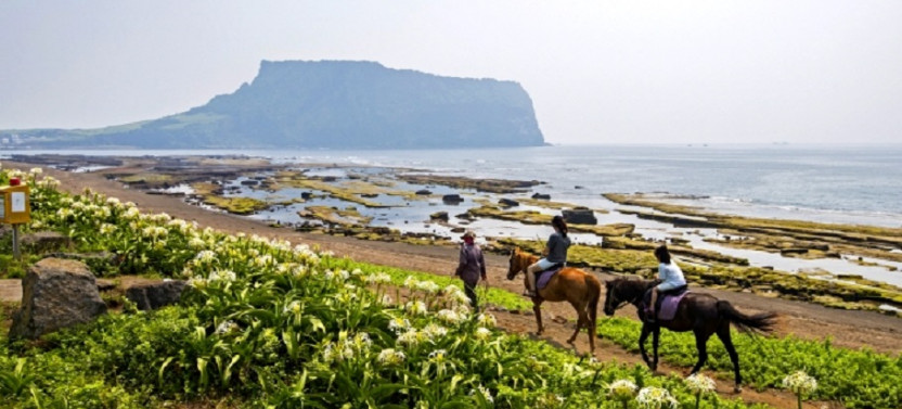 Udo & Jeju Island Together