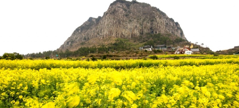 South Global Geo Park in Jeju