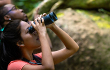 Rainforest Adventures St Lucia8