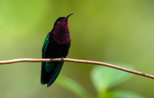 Rainforest Adventures St Lucia12