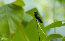 Rainforest Adventures St Lucia16