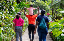 Rainforest Adventures St Lucia7