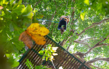 Rainforest Adventures St Lucia14