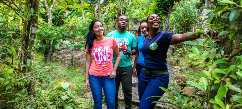 Guided Rainforest Hike on the Jacquot Trail – St. Lucia