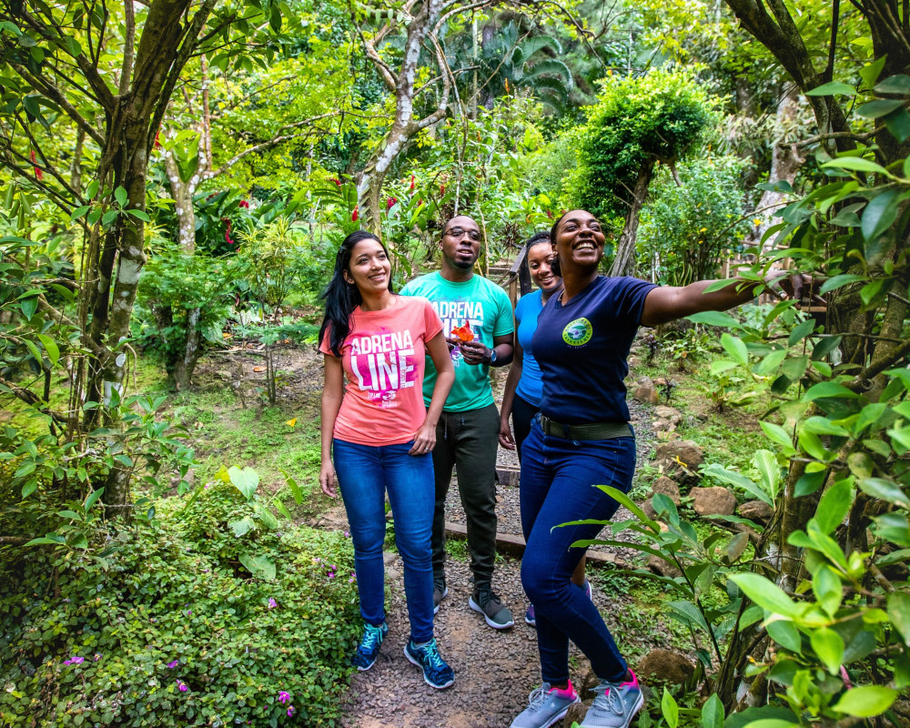 Guided Rainforest Hike on the Jacquot Trail – St. Lucia