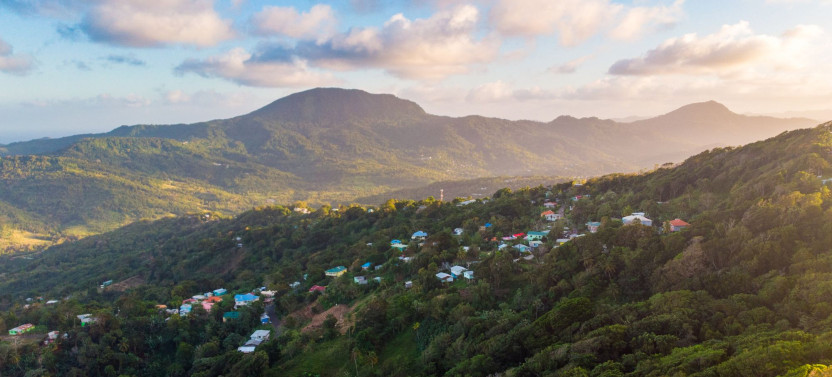 Guided Rainforest Hike on the Jacquot Trail – St. Lucia