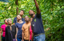 Rainforest Adventures St Lucia4