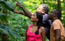 Rainforest Adventures St Lucia7