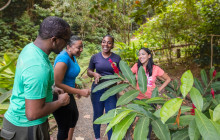 Rainforest Adventures St Lucia8