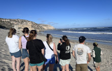 See Adelaide and Beyond4