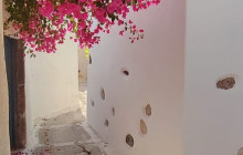 Santorini Island Tour P.C.19