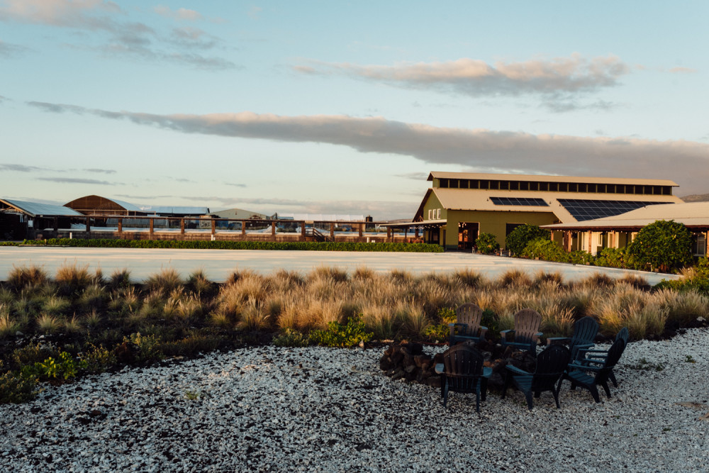 Fire, Salt and Sea: Private Kona Salt Farm Sunset Experience