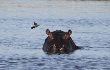 Paradise Adventures3