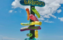 Beautiful Barbados Tours and Excursions Ltd11