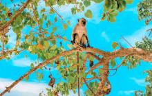 Discova Day Tours and Activities7