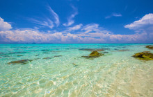 Discova Day Tours and Activities9