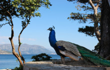 Dubrovnik Bucket List2