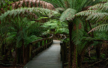 Tours Around Tasmania Pty Ltd6