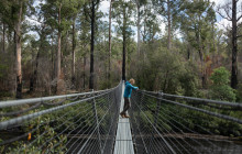 Tours Around Tasmania Pty Ltd8