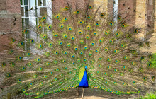 Time Exposure Travel Ltd44