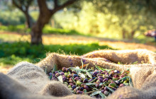 Avalon Travel Services5