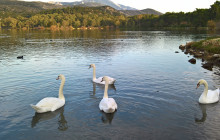 Avalon Travel Services9