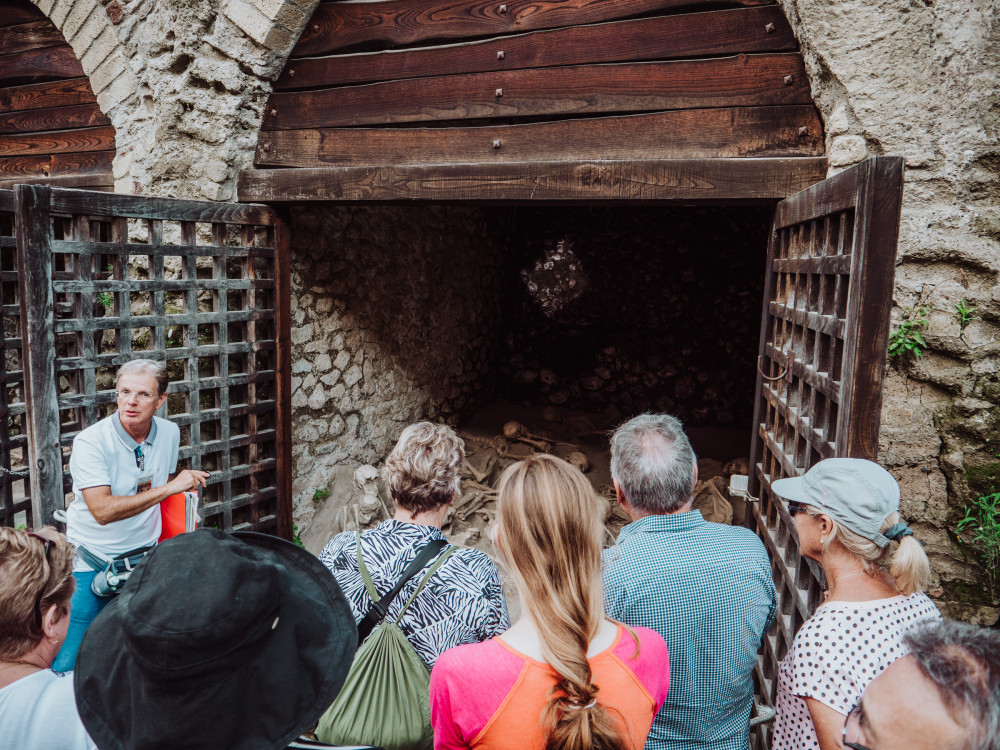 Herculaneum Small Group tour w/an Archaeologist - Skip the line
