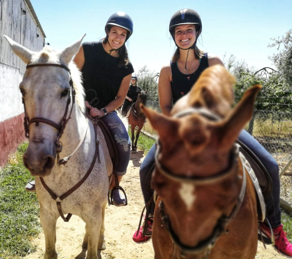 Small Group or Private Horse Riding Excursion from Seville