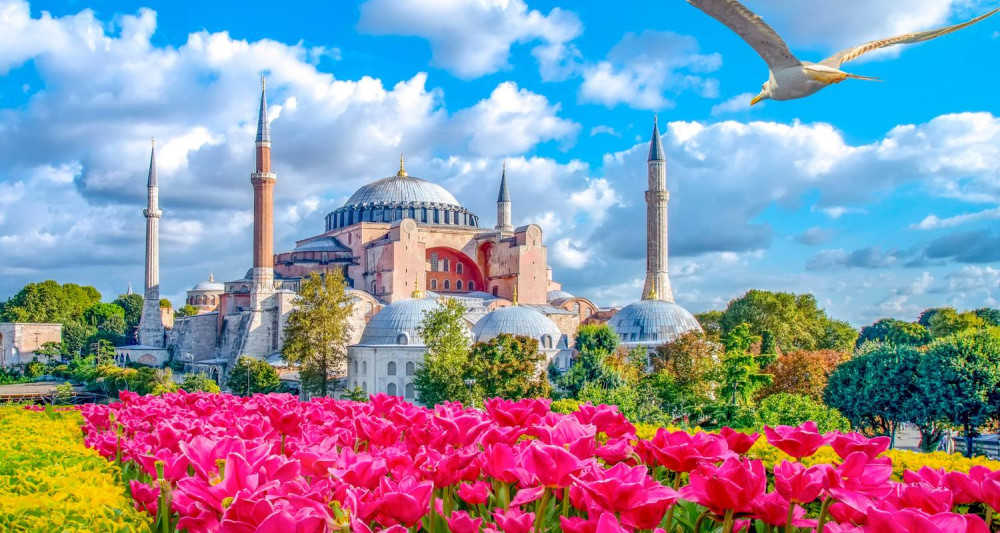 8 Days Istanbul, Cappadocia, Konya, Pamukkale and Ephesus Private Tour