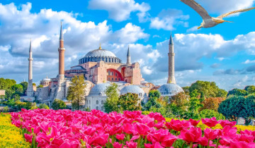 A picture of 8 Days Istanbul, Cappadocia, Konya, Pamukkale and Ephesus Private Tour