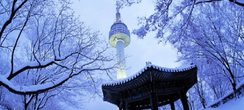 DMZ + N Seoul Tower Observatory