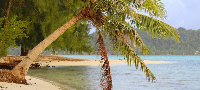 Private Full Day Bora Bora Cultural & Lagoon Tour